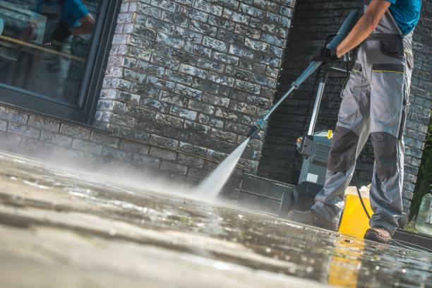Best Warehouse Cleaning  in Canby, MN